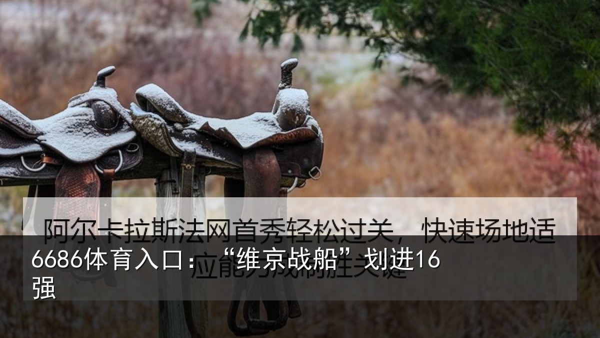 6686体育入口：“维京战船”划进16强