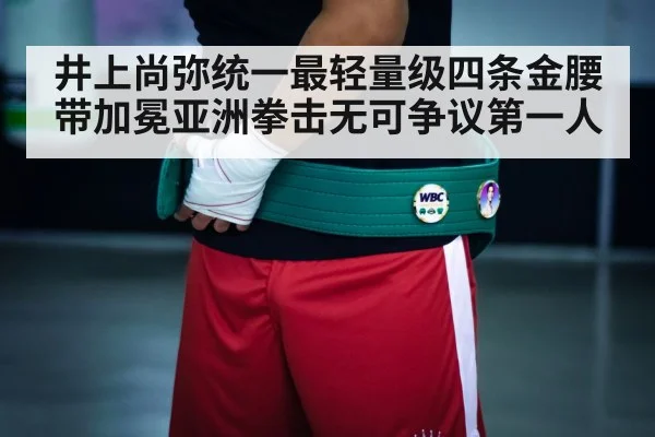 boxing championship belts